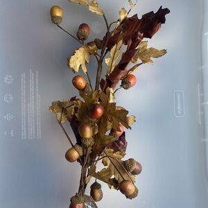 NWT Set of 6 fall acorn picks